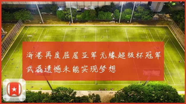海港再度屈居亚军无缘超级杯冠军武磊遗憾未能实现梦想