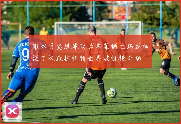 维尔贝克进球助力布莱顿主场逆转诺丁汉森林怀特世界波惊艳全场